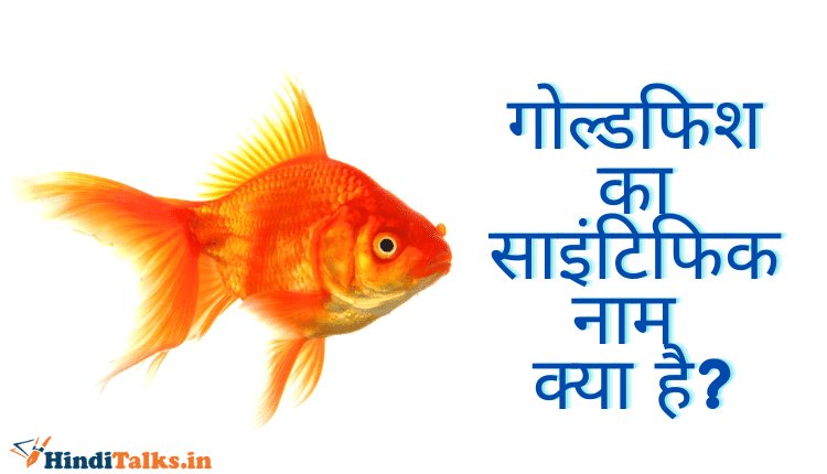 गोल्डफिश का साइंटिफिक नाम क्या है